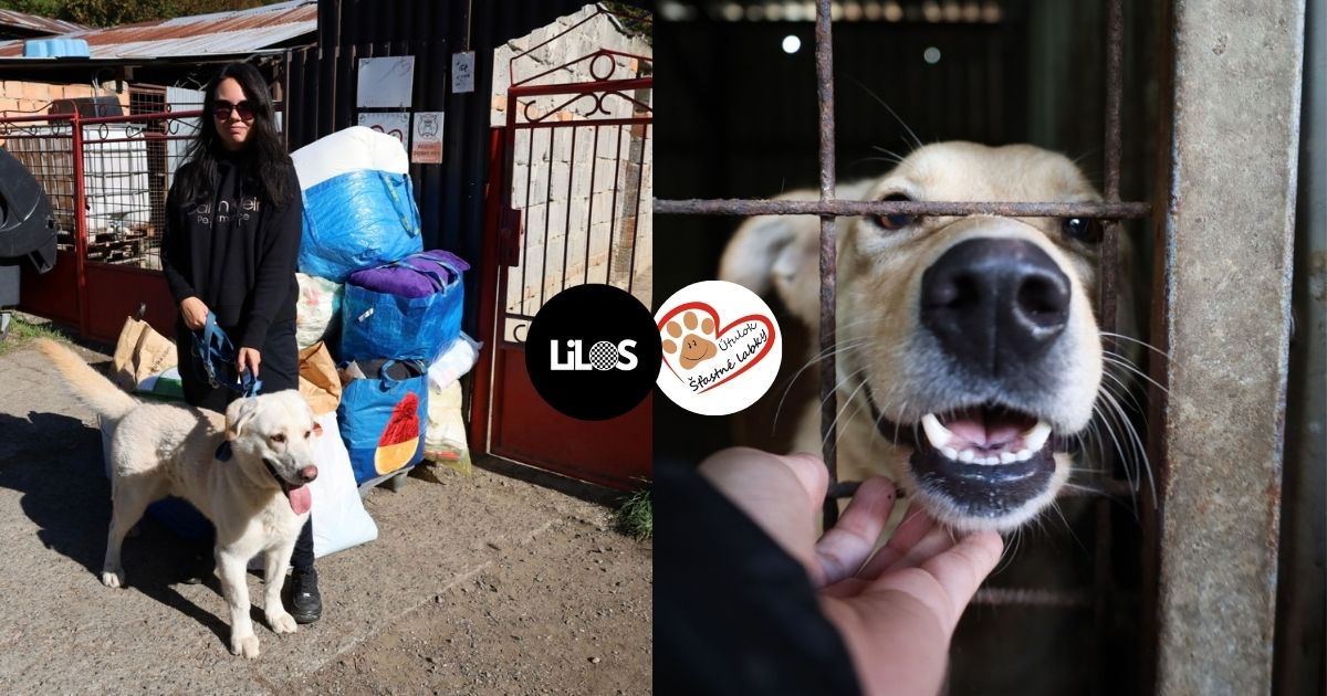 stastne labky filakovo